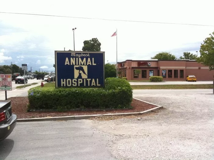 Maybeck Animal Hospital, Florida, Melbourne